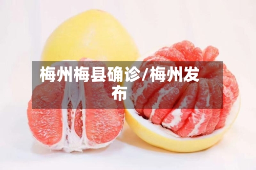 梅州梅县确诊/梅州发布-第3张图片