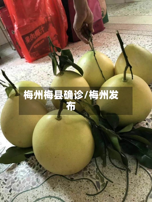 梅州梅县确诊/梅州发布-第2张图片