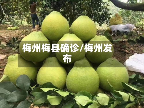 梅州梅县确诊/梅州发布