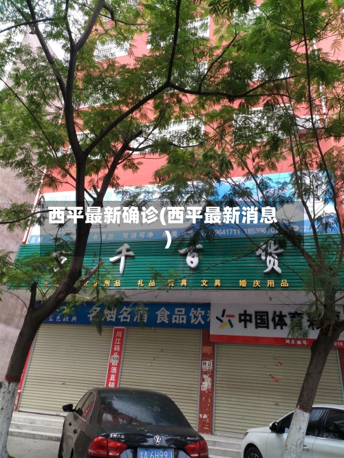 西平最新确诊(西平最新消息)-第2张图片