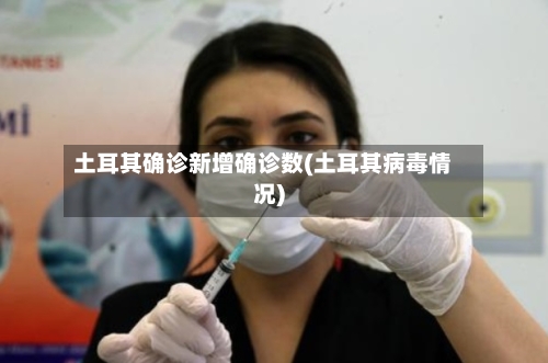土耳其确诊新增确诊数(土耳其病毒情况)-第2张图片