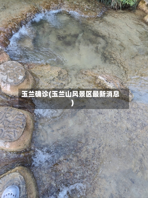 玉兰确诊(玉兰山风景区最新消息)-第3张图片