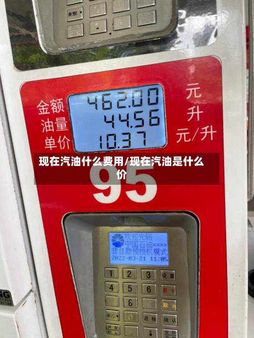 现在汽油什么费用/现在汽油是什么价-第3张图片