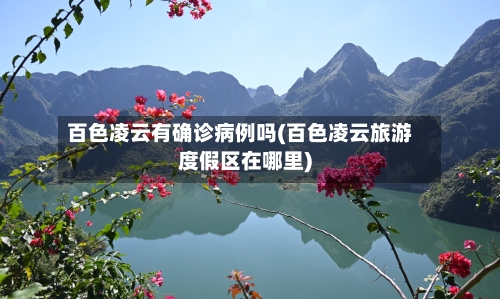 百色凌云有确诊病例吗(百色凌云旅游度假区在哪里)-第2张图片