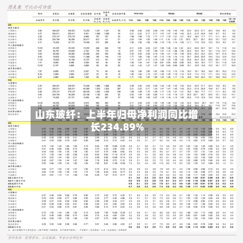 山东玻纤：上半年归母净利润同比增长234.89%