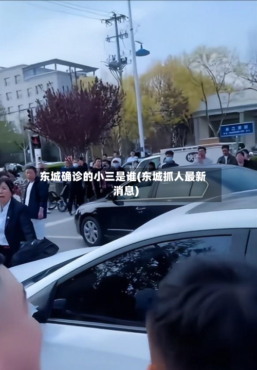 东城确诊的小三是谁(东城抓人最新消息)-第2张图片