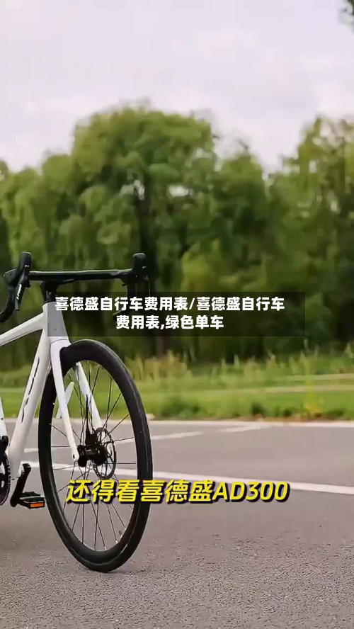 喜德盛自行车费用表/喜德盛自行车费用表,绿色单车-第2张图片