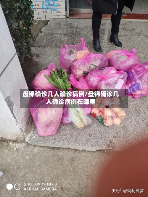盘锦确诊几人确诊病例/盘锦确诊几人确诊病例在哪里-第2张图片