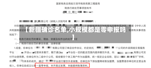 【新疆确诊名单,小规模都是零申报吗】-第2张图片