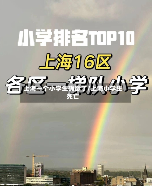 上海一个小学生确诊了/上海小学生死亡-第2张图片