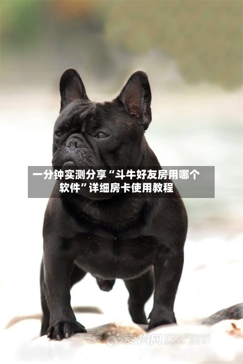 一分钟实测分享“斗牛好友房用哪个软件	”详细房卡使用教程-第3张图片