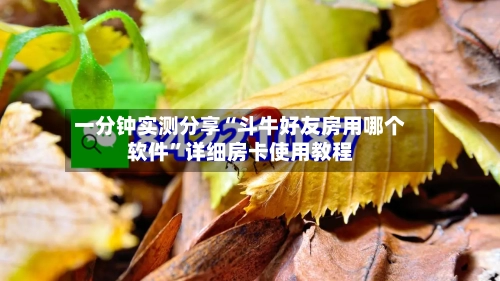 一分钟实测分享“斗牛好友房用哪个软件”详细房卡使用教程-第2张图片