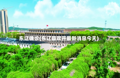 东辽确诊(东辽县双开最新消息今天)