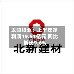 太阳纸业：上半年净利润19.51亿元 同比增长9.6%-第2张图片