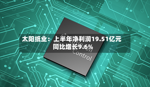 太阳纸业：上半年净利润19.51亿元 同比增长9.6%-第3张图片