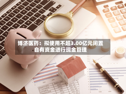 博济医药：拟使用不超3.00亿元闲置自有资金进行现金管理-第2张图片