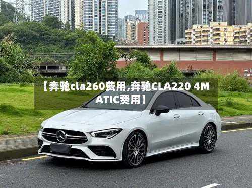 【奔驰cla260费用,奔驰CLA220 4MATIC费用】-第3张图片