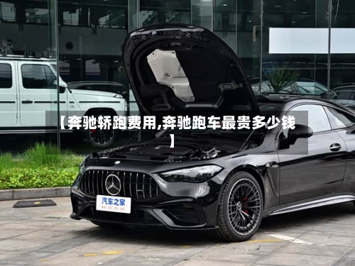 【奔驰轿跑费用,奔驰跑车最贵多少钱】