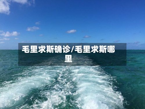 毛里求斯确诊/毛里求斯哪里