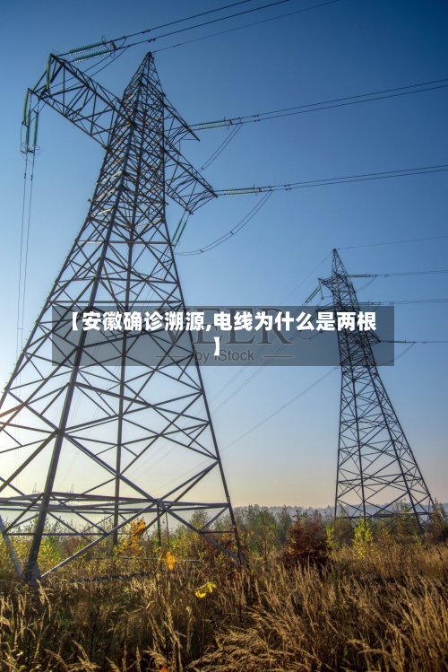 【安徽确诊溯源,电线为什么是两根】