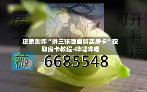 玩家测评“拼三张哪里购买房卡	”获取房卡教程-哔哩哔哩-第2张图片