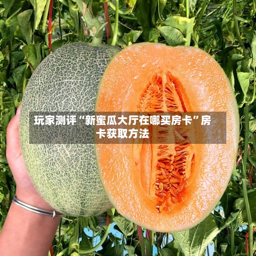 玩家测评“新蜜瓜大厅在哪买房卡	”房卡获取方法-第2张图片