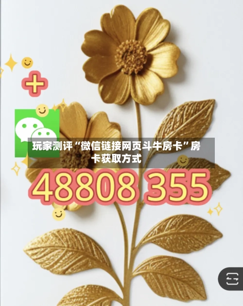 玩家测评“微信链接网页斗牛房卡”房卡获取方式