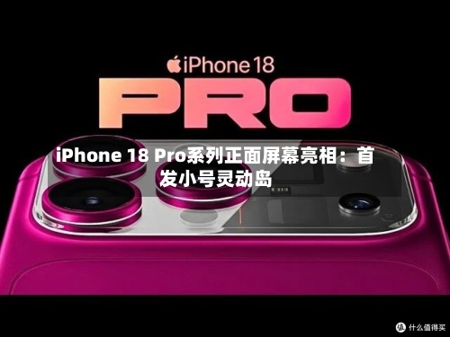 iPhone 18 Pro系列正面屏幕亮相：首发小号灵动岛-第2张图片
