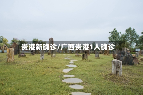 贵港新确诊/广西贵港1人确诊-第2张图片