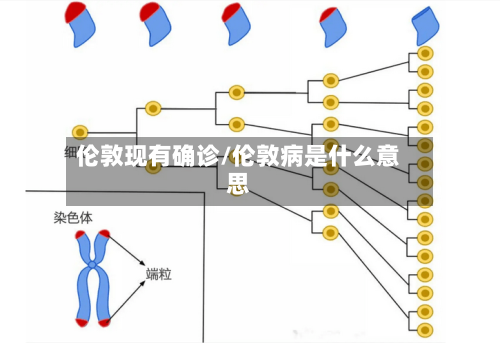 伦敦现有确诊/伦敦病是什么意思-第3张图片