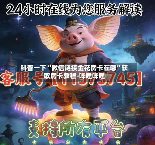 科普一下“微信链接金花房卡在哪”获取房卡教程-哔哩哔哩-第2张图片