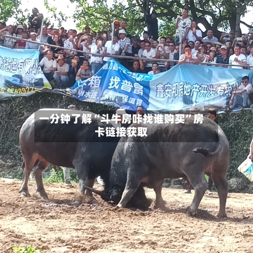 一分钟了解“斗牛房咔找谁购买”房卡链接获取-第3张图片