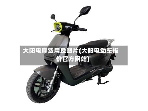 大阳电摩费用及图片(大阳电动车报价官方网站)-第2张图片