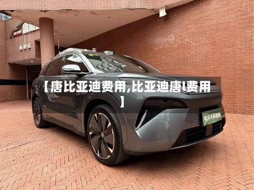 【唐比亚迪费用,比亚迪唐l费用】-第3张图片