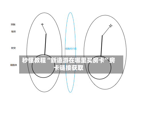 秒懂教程“新道游在哪里买房卡”房卡链接获取-第2张图片