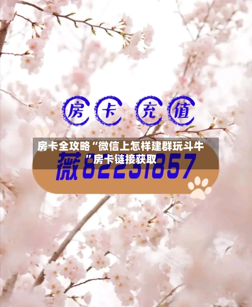 房卡全攻略“微信上怎样建群玩斗牛”房卡链接获取-第3张图片