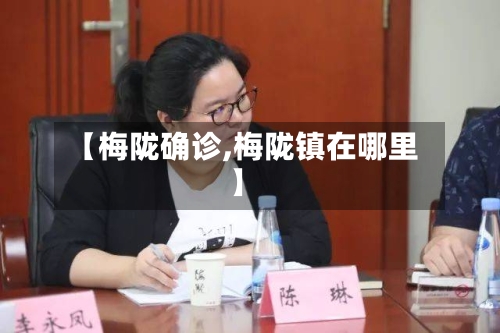 【梅陇确诊,梅陇镇在哪里】-第2张图片