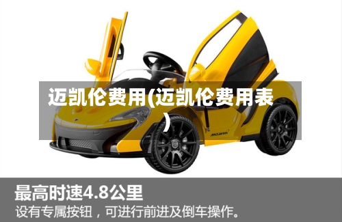迈凯伦费用(迈凯伦费用表)