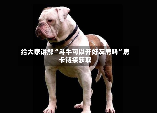 给大家讲解“斗牛可以开好友房吗”房卡链接获取-第2张图片