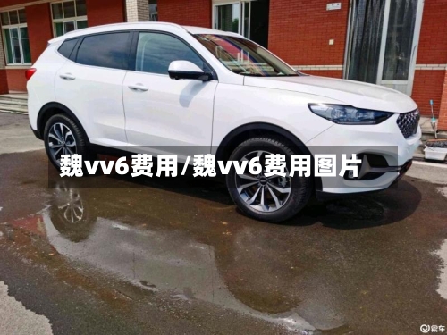 魏vv6费用/魏vv6费用图片