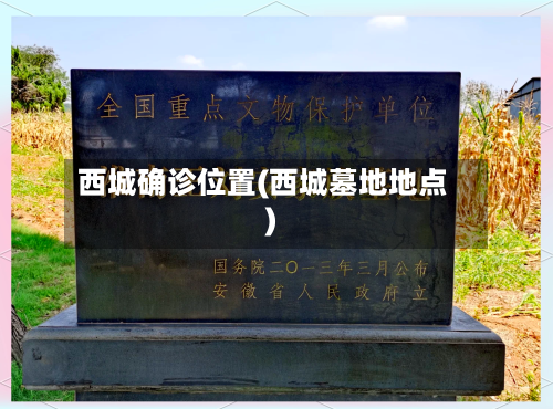 西城确诊位置(西城墓地地点)