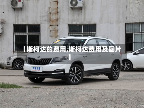 【斯柯达的费用,斯柯达费用及图片】-第2张图片