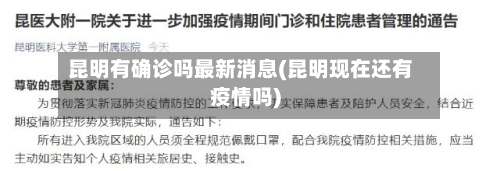 昆明有确诊吗最新消息(昆明现在还有疫情吗)-第2张图片
