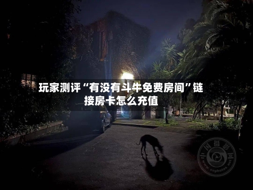 玩家测评“有没有斗牛免费房间	”链接房卡怎么充值-第2张图片