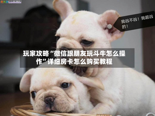 玩家攻略“微信跟朋友玩斗牛怎么操作	”详细房卡怎么购买教程-第2张图片