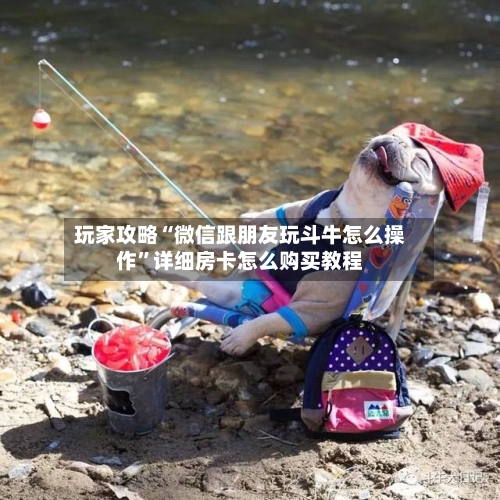 玩家攻略“微信跟朋友玩斗牛怎么操作”详细房卡怎么购买教程-第3张图片