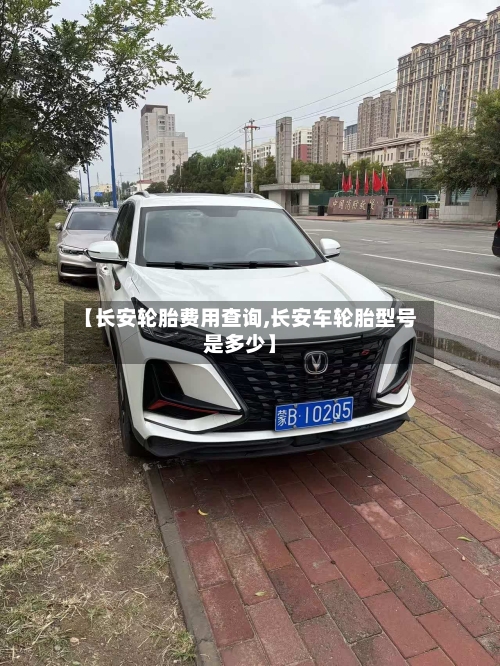 【长安轮胎费用查询,长安车轮胎型号是多少】-第2张图片