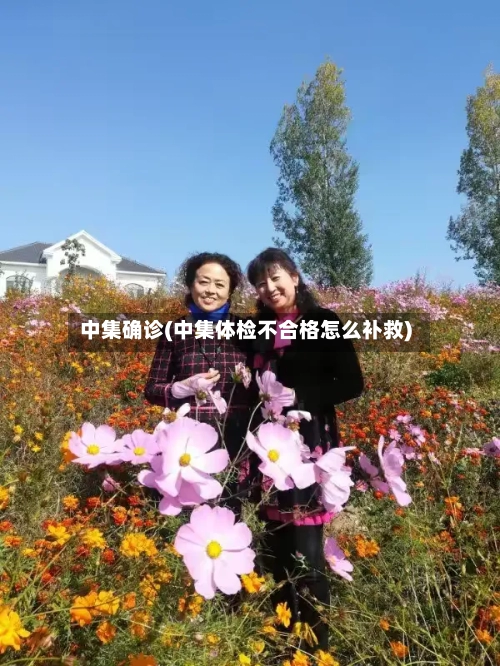 中集确诊(中集体检不合格怎么补救)-第3张图片