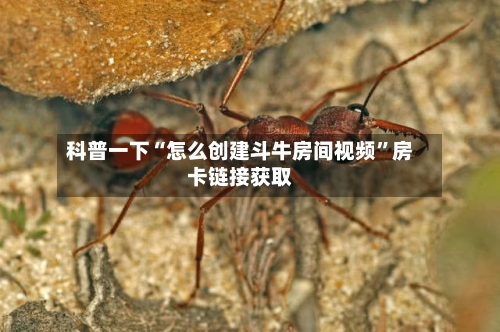 科普一下“怎么创建斗牛房间视频”房卡链接获取-第2张图片