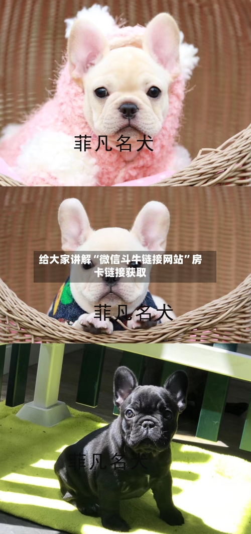 给大家讲解“微信斗牛链接网站	”房卡链接获取-第2张图片